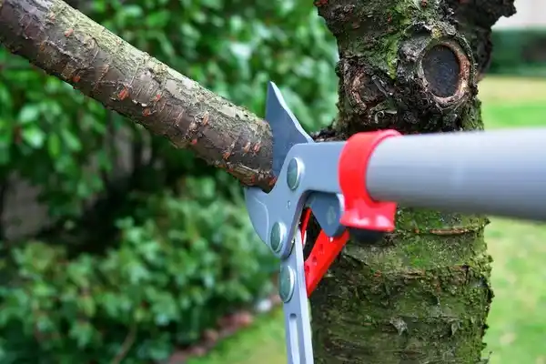 tree services Fountain Green